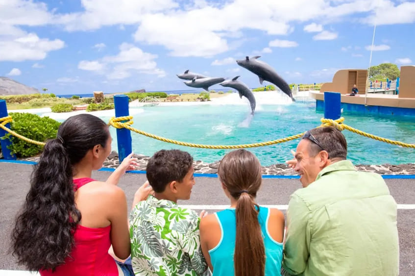 Sea Life Park Hawaii
